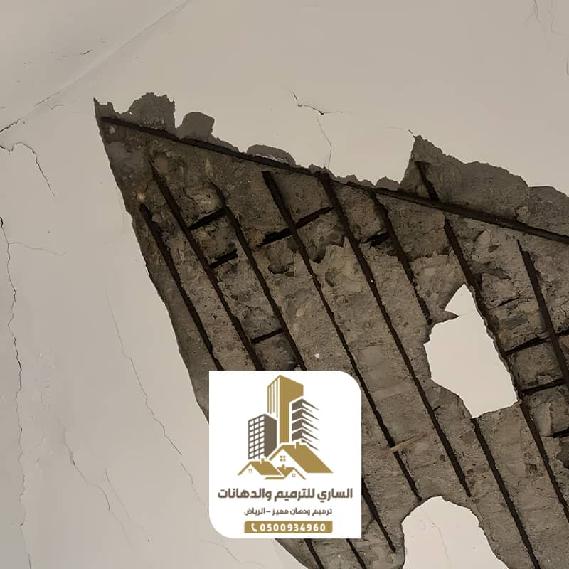 ترميمات ودهانات الساري